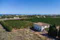 60-8296-3, Country house to renovate with a large plot for sale in denia