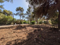 60-4439-3, South facing building plot for sale in costa nova javea